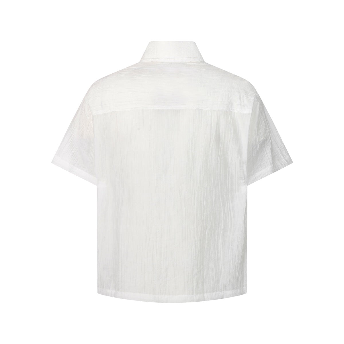 White short-sleeve shirt back view with collar, back yoke seam and crinkled fabric texture