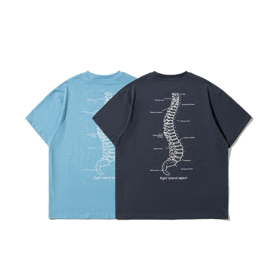 Light blue and dark navy T-shirts shown from the back, each with a large white labeled spine illustration.