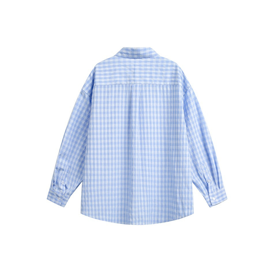 Back view of a light blue and white gingham long-sleeve shirt with a collar and button cuffs.