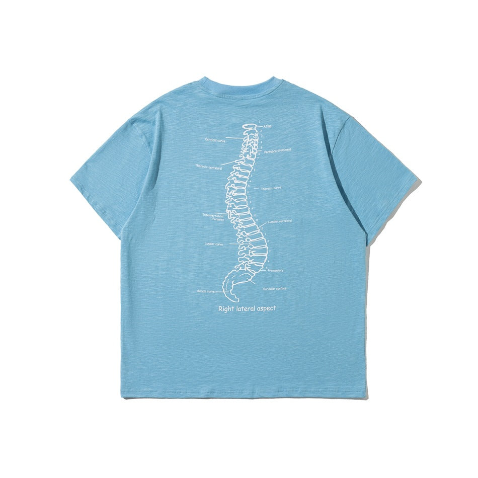 Light blue short-sleeve crew neck T-shirt, back view, with large white spine illustration and anatomical labels