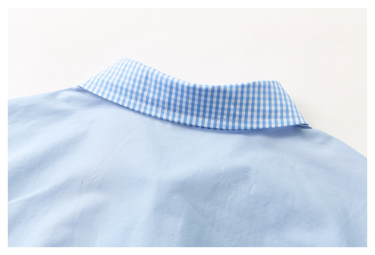 Close-up of a pale blue shirt back and collar, with blue-and-white gingham fabric on the collar.