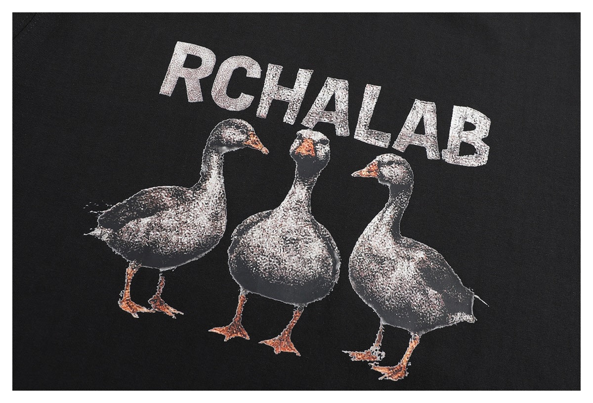 Close-up of a black T-shirt print with silver lettering and three bird illustrations.