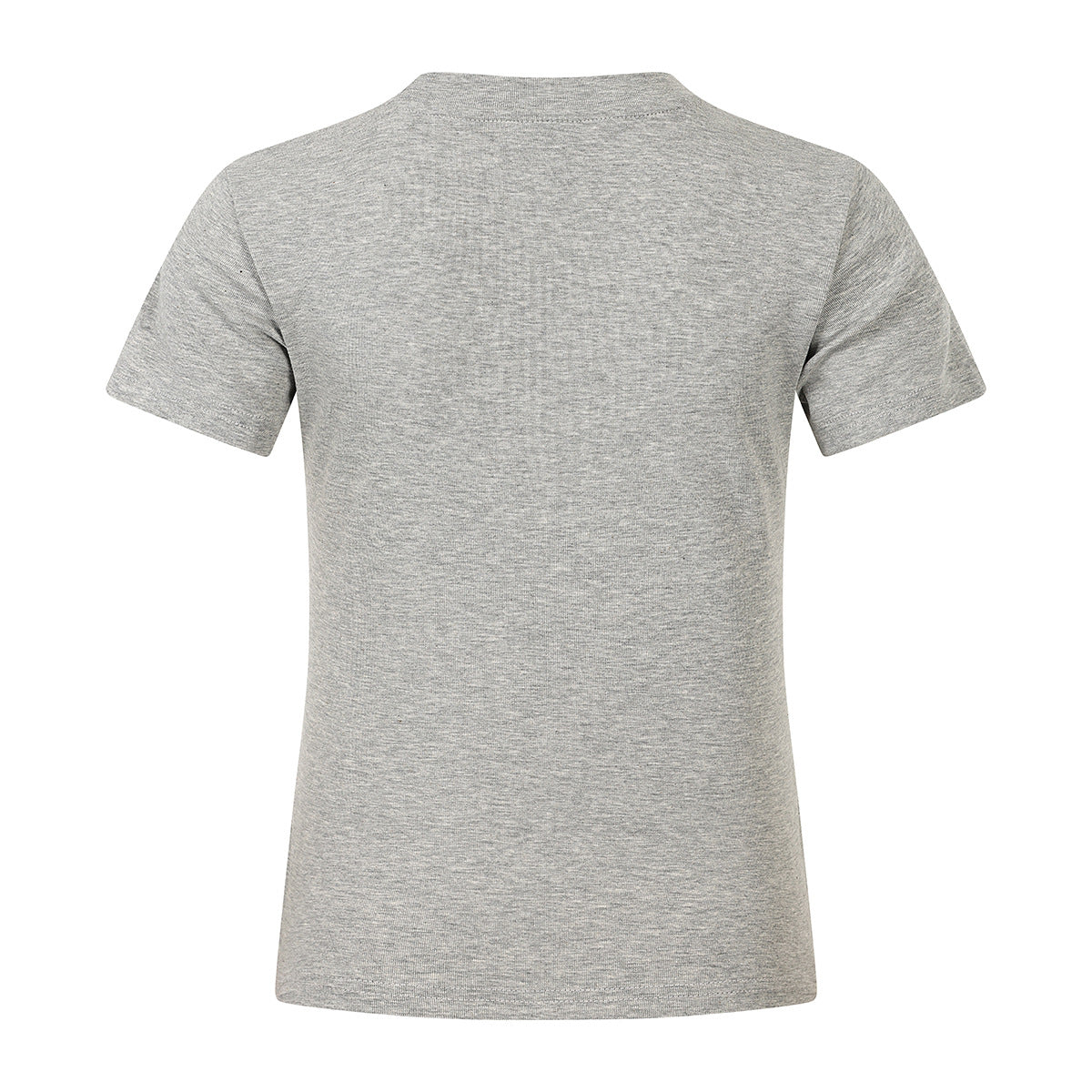 Back view of a plain heather gray short-sleeve crew-neck T-shirt.