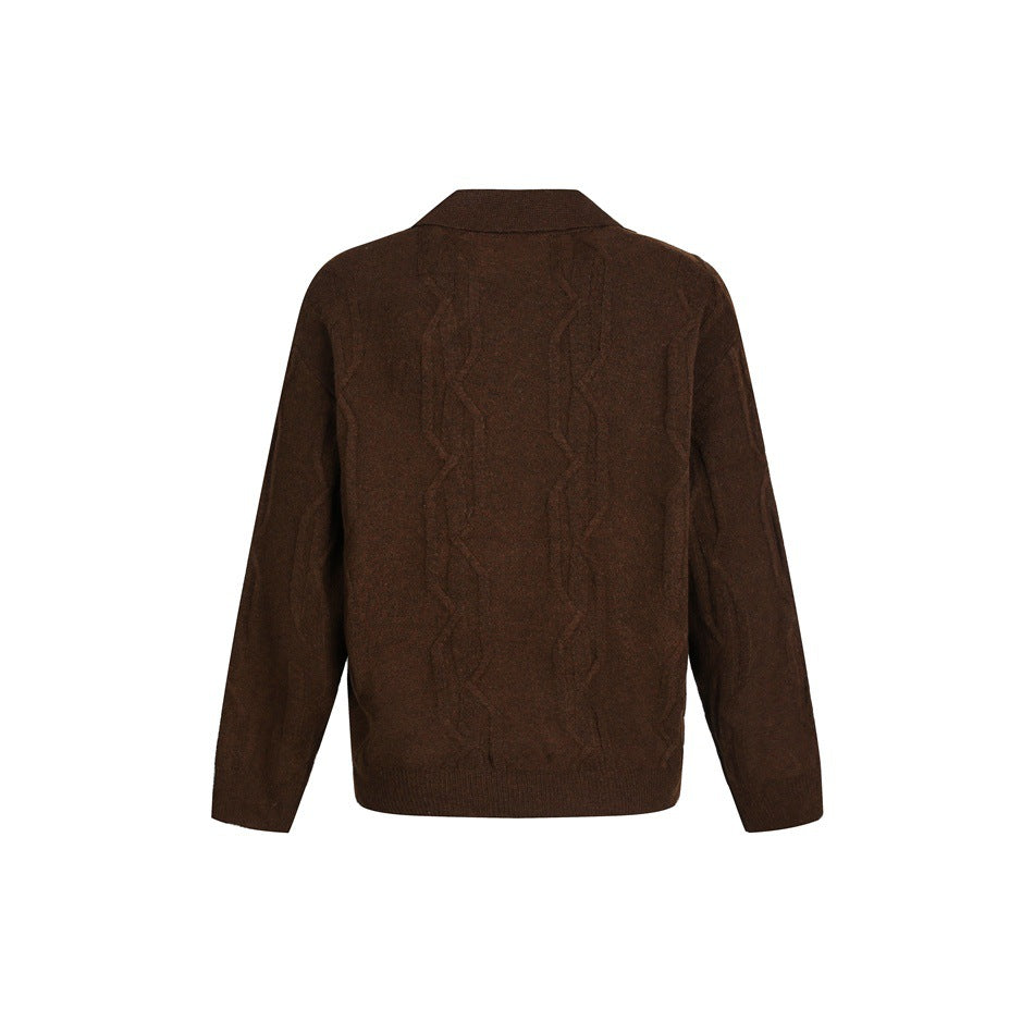Back view of a dark brown long-sleeve sweater with a collar and cable-knit pattern.