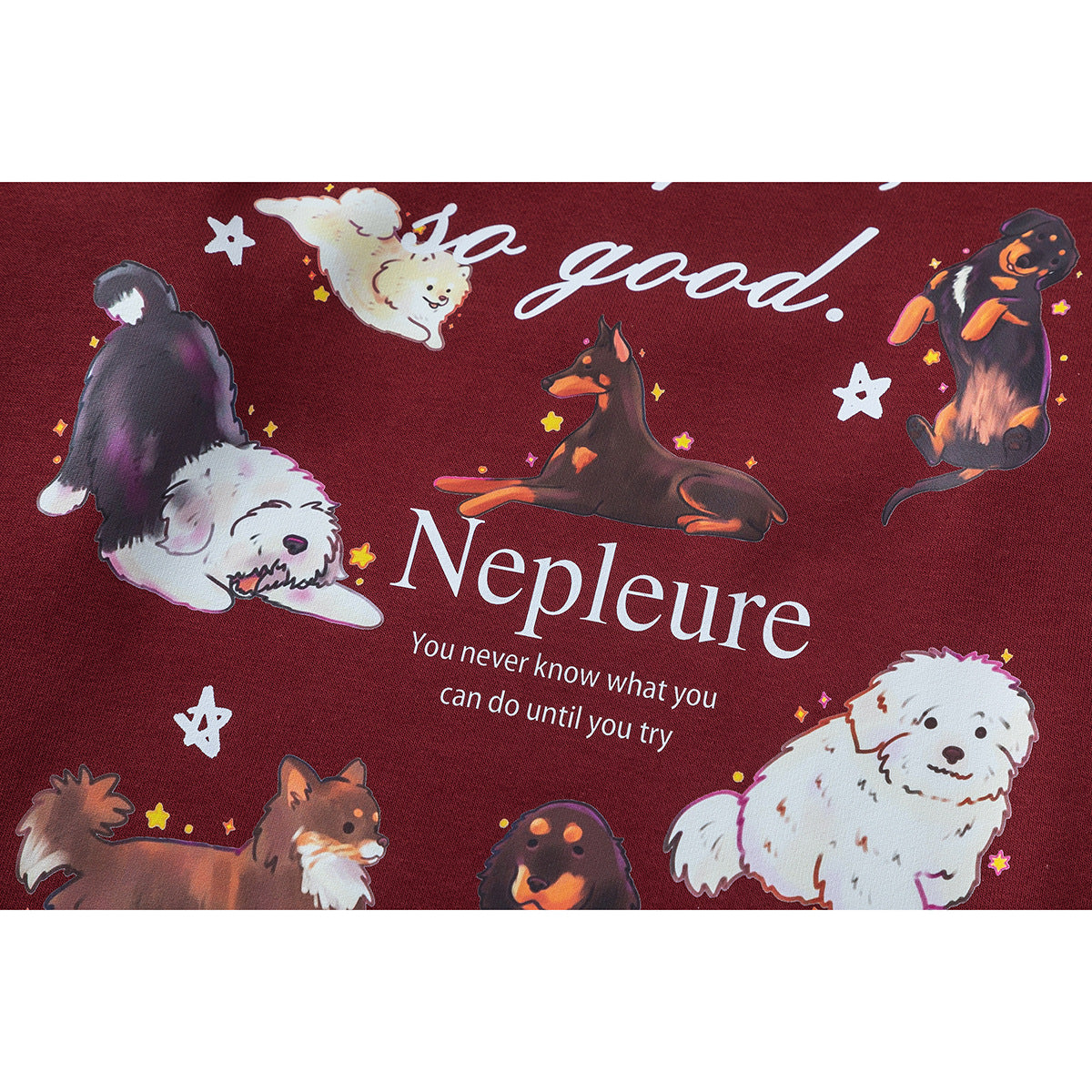 Close-up of a burgundy sweatshirt print featuring illustrated dogs, stars, and English lettering.