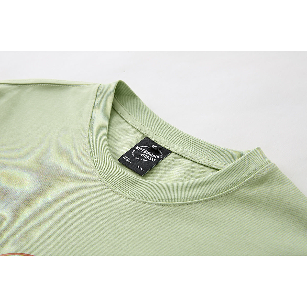 Close-up of a pale green T-shirt neckline with ribbed crew neck and a black inner label.