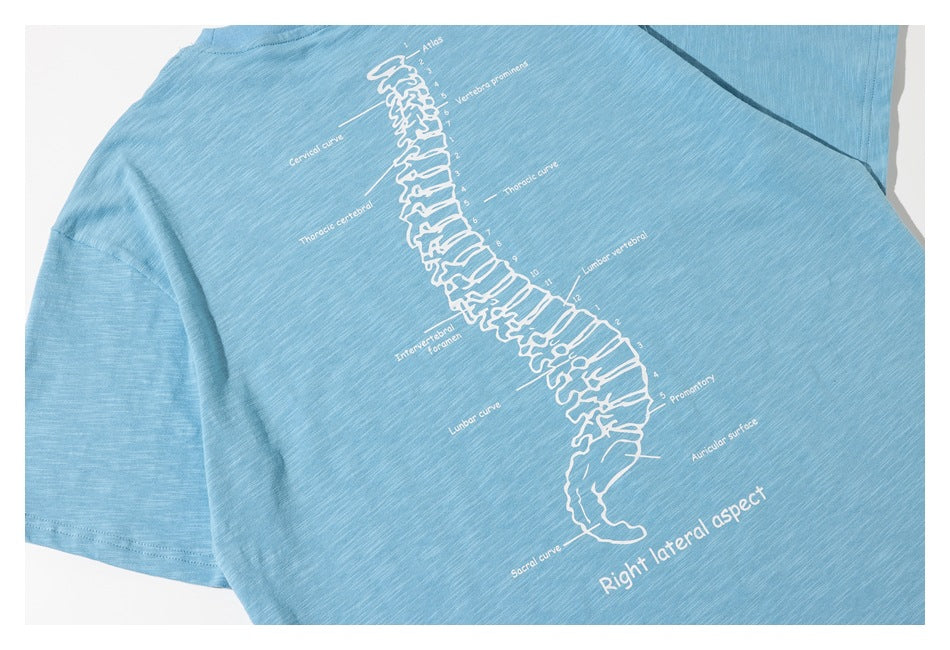 Close-up of a light blue shirt printed with a white labeled diagram of the spine.