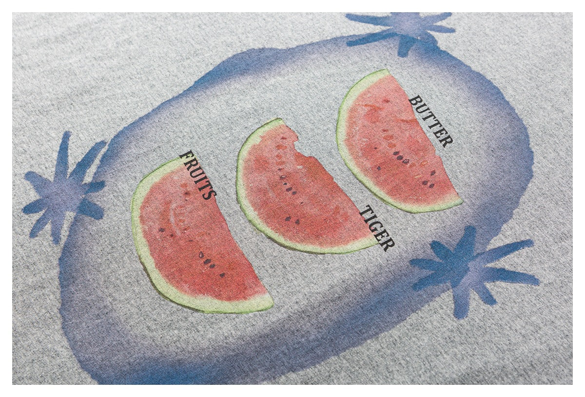 Heather-gray fabric printed with three watermelon slices, blue shapes, and English words.