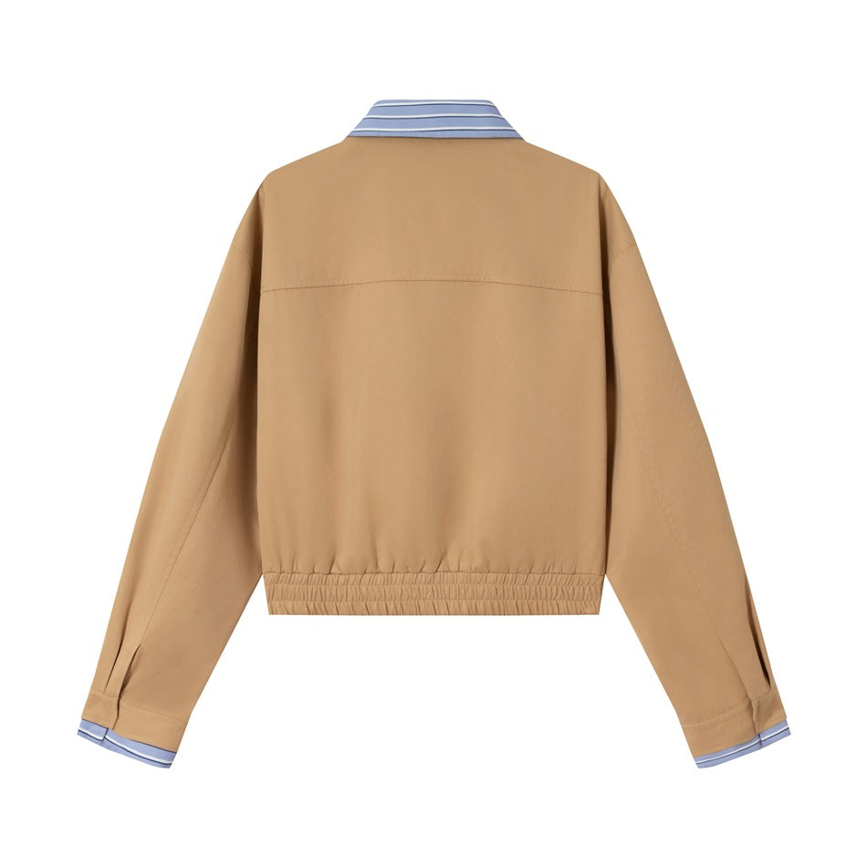Back view of a tan jacket with a blue striped collar and cuffs and an elasticated hem.