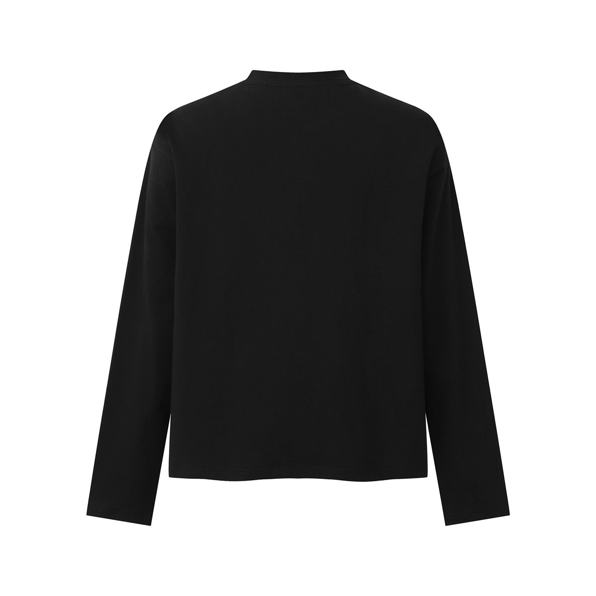 Back view of a plain black long-sleeve crew-neck T-shirt.