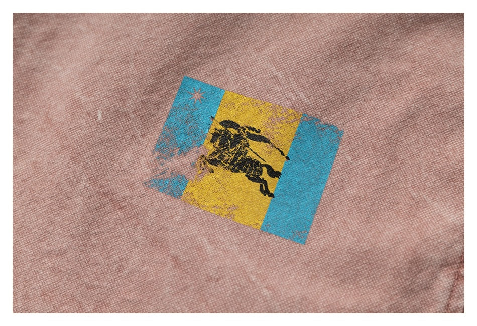 Close-up of a colorful blue and yellow jacket patch featuring a black horse.