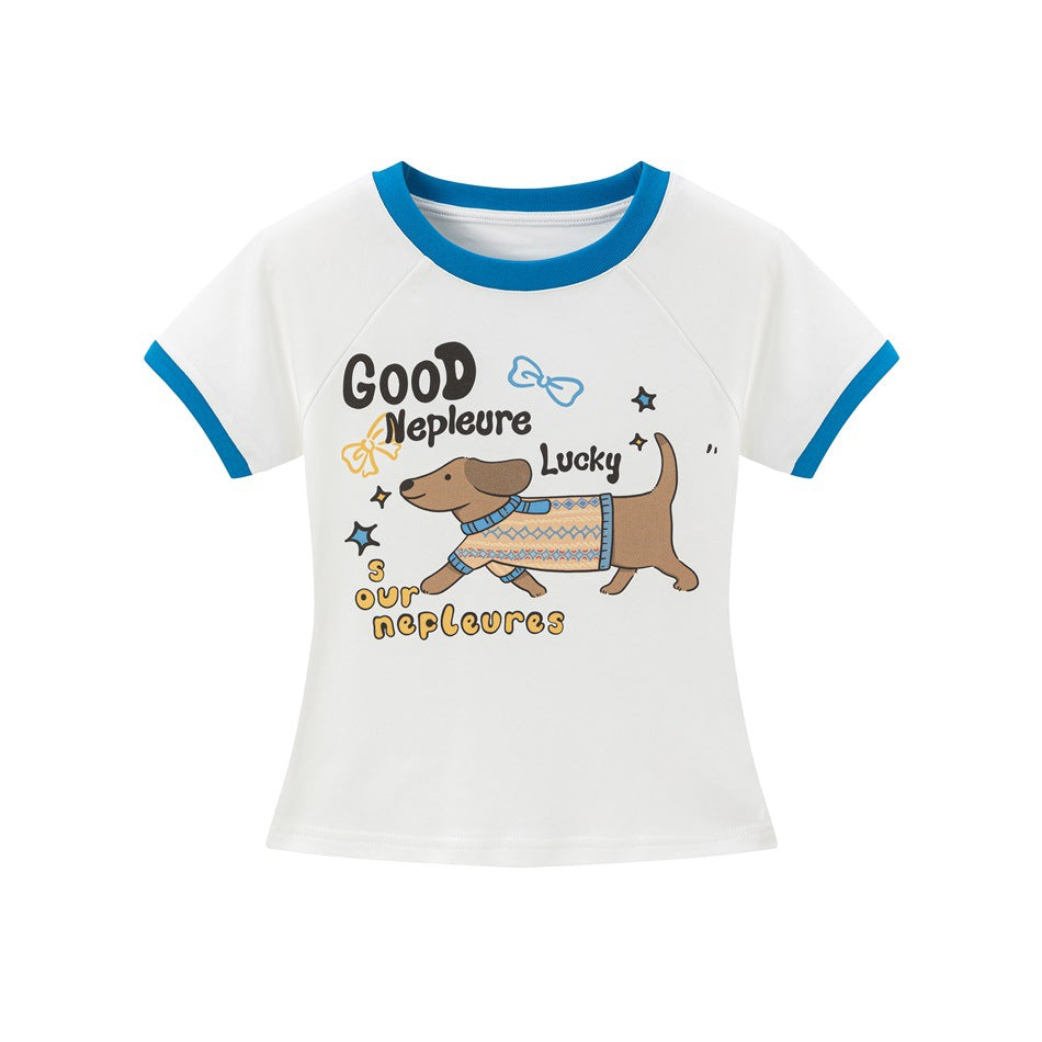 White cropped ringer tee with blue collar and cuffs and a printed dachshund in a knit sweater on the front