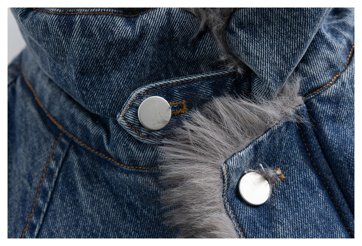 Close-up of a blue denim jacket's front placket, showing gray shaggy trim and two large metal snaps.